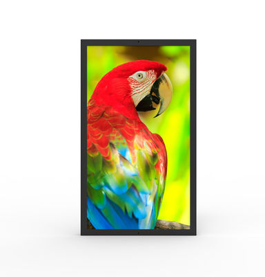 comprar Resistente al agua pantallas digitales comerciales HDMI de 49 pulgadas monitor ultraancho online manufacture