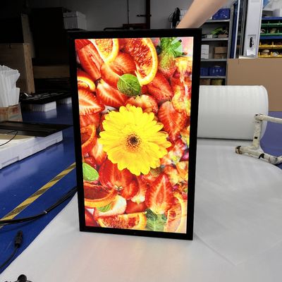 comprar HDMI IP67 impermeable para exteriores con pantalla de publicidad LED pantalla de LCD protegida UV montada en la pared Fabricación en línea
