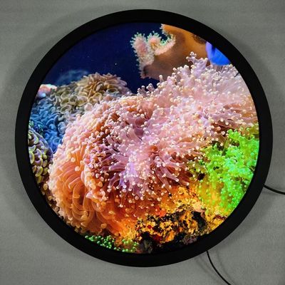 comprar Cuad-core Cortex-A53 Display de arte redondo de pie libre señalización digital y pantalla táctil opcional Fabricación en línea
