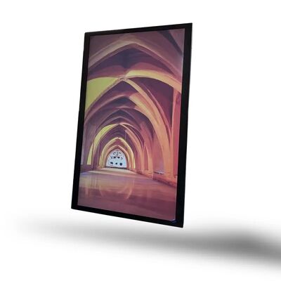 comprar Monitor LCD curvo para señalización digital impermeable de 21,5 pulgadas, 1000 cd/m² de brillo, resolución 1920x1080 para exteriores Fabricación en línea