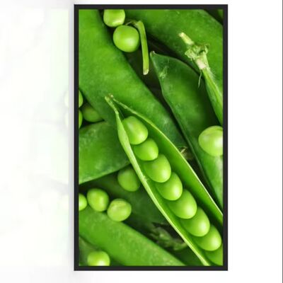 32 pulgadas Ultra-estrecho de bisel de monitor LCD exterior con 3000 nits de brillo IP67 a prueba de agua y vidrio anti-reflejo para centros comerciales y ascensores